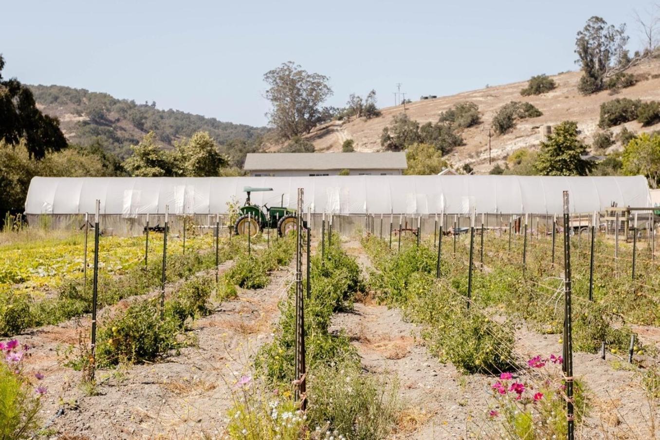 Wild Hair Studio-Stylish Farm Stay W Ev Charger Arroyo Grande Exterior foto